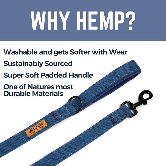 Pawsitive Hemp Leash - 5ft Long, with a Padded Handle for Extra Comfort. Made from Durable, Machine Washable Hemp; Natural