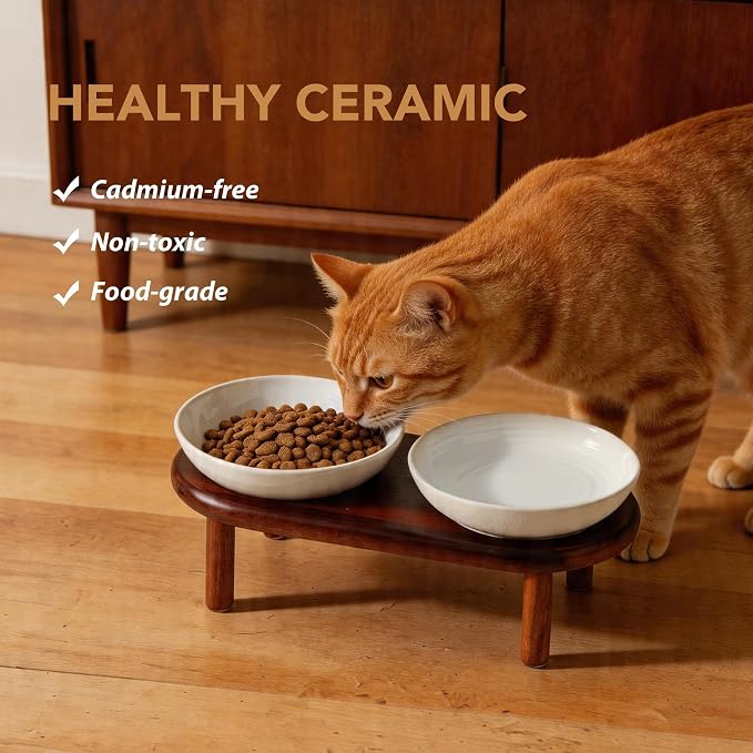 Havniva Elevated Cat Bowls Raised Ceramic Cat Bowl, 5.7” Wide Opening Cat Food Bowl Whisker Friendly Cat Dish Anti-Slip with Wood Stand, Shallow Pet Food & Water Bowl for Indoor Cats