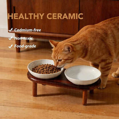 Havniva Elevated Cat Bowls Raised Ceramic Cat Bowl, 5.7” Wide Opening Cat Food Bowl Whisker Friendly Cat Dish Anti-Slip with Wood Stand, Shallow Pet Food & Water Bowl for Indoor Cats