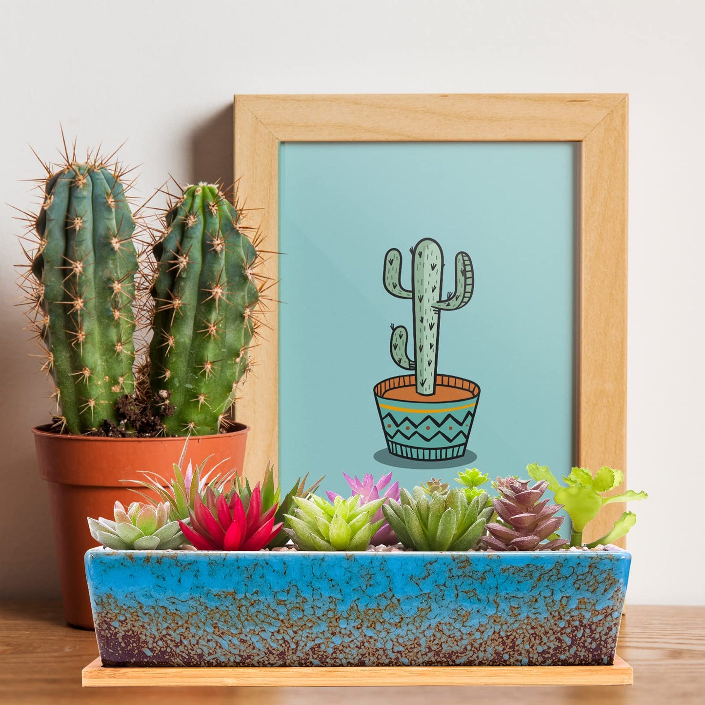 ARTKETTY 2 Pack Succulent Pots - 10''+12'' Succulent Planters with Drainage, Shallow Bonsai Pots with Tray Ceramic Pots for Indoor Plants Large Cactus Flower Plant Bowl