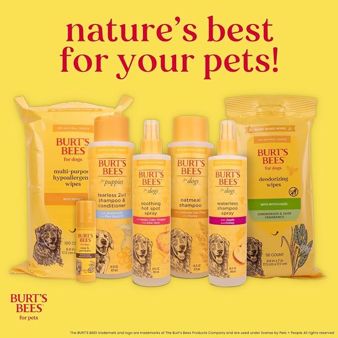 Burt's Bees for Pets Oatmeal Dog Shampoo with Honey, Soothing Formula for Itchy and Sensitive Dog Skin, Colloidal Oat Flour and Honey, pH Balanced, Sulfate-Free, 16 Fl Oz - 6 Pack