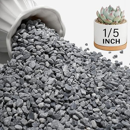 NUPICK 12 lbs Pebbles for Indoor Plants, 1/5 Inch Pea Gravel for Fish Tank, Decorative Rocks for Succulent, Natural River Stones for Vases, Cactus, Landscaping, Bird Bath, Aquarium, Grey