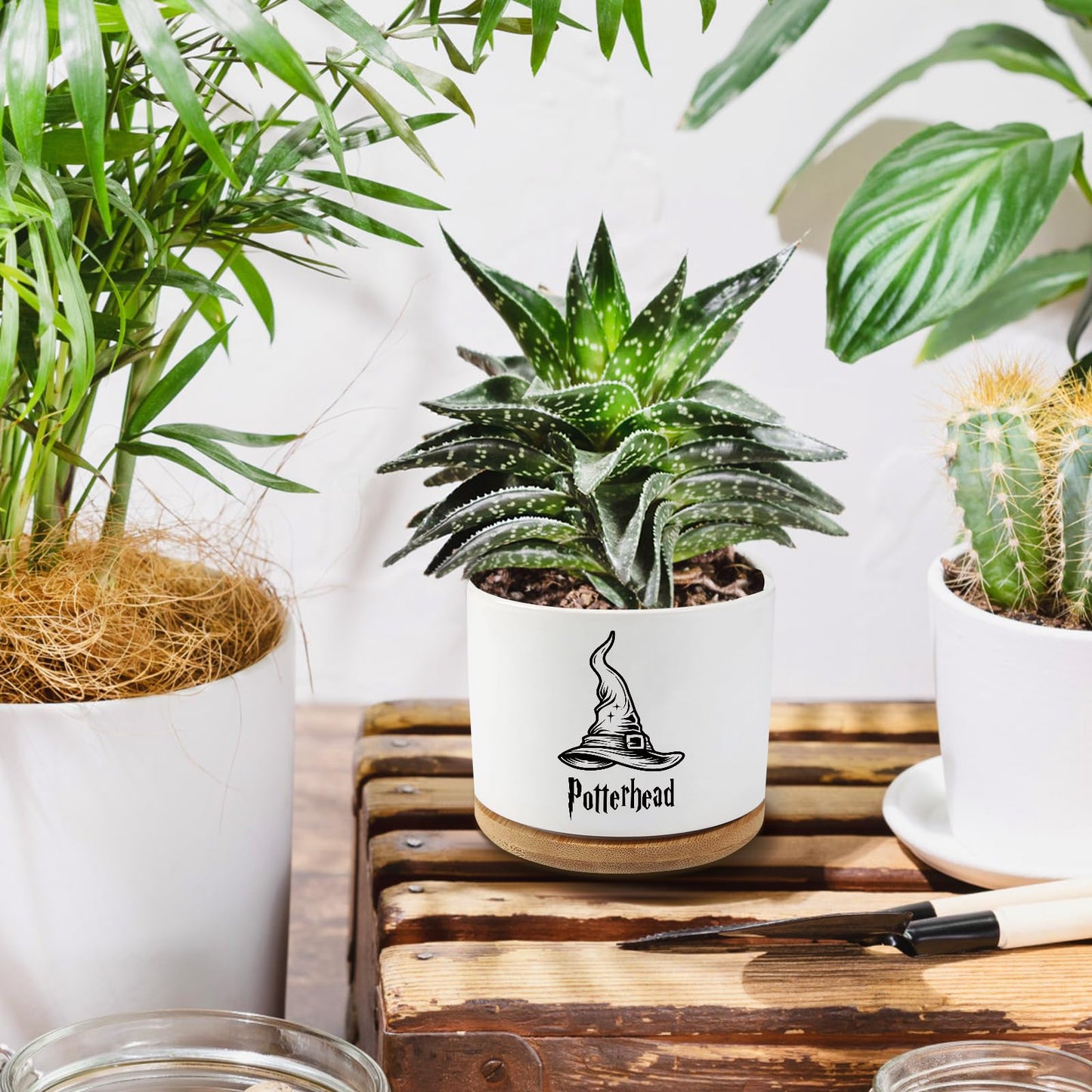 AKAQCHANG Ceramic Succulent Cactus Planter Pots with Drainage,Funny Planters Indoor Plants Desk Accessories,Harry Magic Hat Office Decor,Gifts for Plant Lovers Mom Friends Teacher(Plant Not Included)