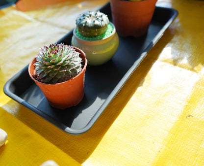 Vuwez Plant Saucer Tray, Heavy Sturdy Long Narrow Plastic Plant Saucers Drainage Trays for Indoors No Holes, Plant Drip Trays for Pots Base, Seed Starter Growing Tray (6.5 X 13 inch, Black)