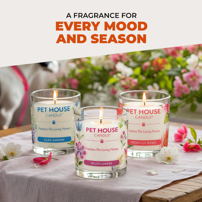 One Fur All Pet House Fall Candles, Long Lasting, Clean Burning, Soy Wax Scented Candles for Pet Odor, Apple Cider