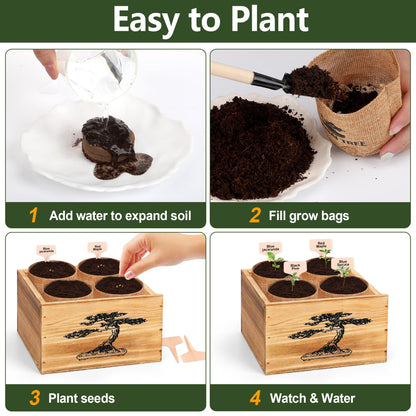 4 Pack Bonsai Tree Kit - 4 Seeds Growing Plant Bonsai Tree Live Kit for Beginners, Easy to Grow Complete Indoor Garden Starter Kits with Wooden Box & Tools, Christmas Gifts for Men Women Plant Lover