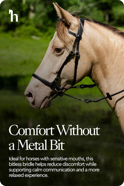 HORZE Genuine Leather Cross-Under Bitless Bridle | Web Reins Included - Black - Horse