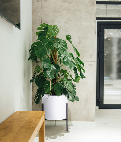 D'vine Dev Modern White Plant Pot Cylinder Planter with Heavy Duty Stand, XX-Large 16 Inch Pot, 22.8 Inch with Stand Height, 96-T-A-5