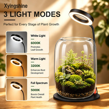 5X Aperture Glass Terrarium Grow Light with Full Spectrum LED for Indoor Plants, Mini Desk Plant Growing Lamp for Succulents & Moss, 3 Modes, 10 Brightness Levels, Height Adjustable