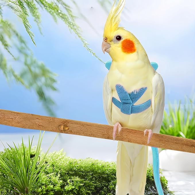 3 Sets Pet Parrot Bird Harness and Leash with Cute Wing, Adjustable Bird Flying Harness Straps Outdoor Training Traction Rope for Parrots Pigeons Lovebird Cockatiel(L,Red,Green&Blue)