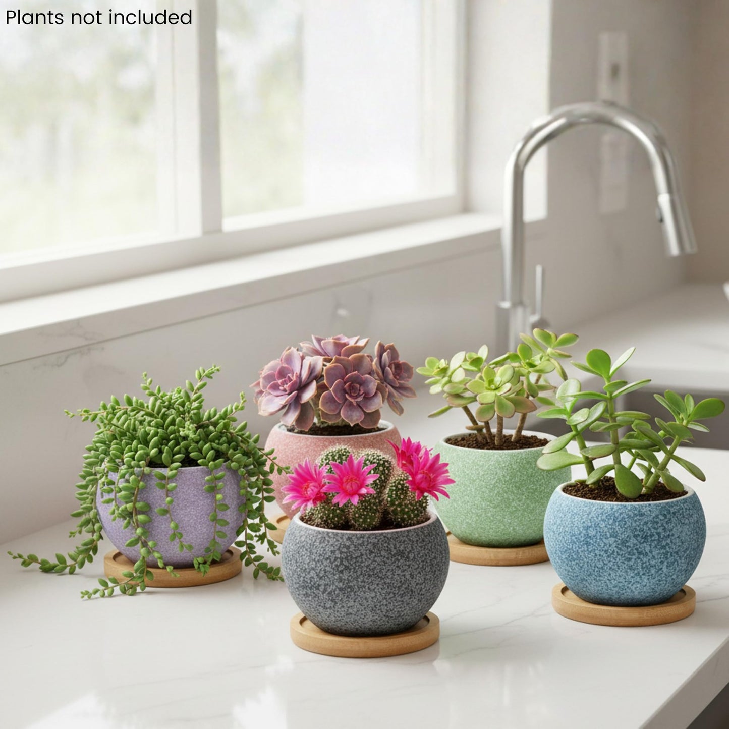 Thriving Thicket 3 inch Ceramic pots for Plants, Small Succulent Pots Set with Drainage, 6 Pack Flower Pot for Indoor Plant, Planters for Little or mini Cactus 2 inches Plants