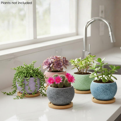 Thriving Thicket 3 inch Ceramic pots for Plants, Small Succulent Pots Set with Drainage, 6 Pack Flower Pot for Indoor Plant, Planters for Little or mini Cactus 2 inches Plants