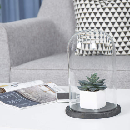 MyGift The Bell Jar Glass Cloche with Black Wood Base, 10 Inch Tall Clear Decorative Glass Dome Display for Plants, Curios, Keepsakes, Heirlooms