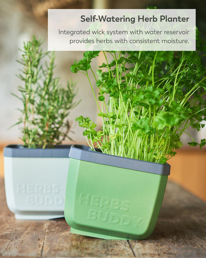BUZZY Seeds Herb Buddy Self-Watering Herb Planter with Water Level Indicator – Indoor Kitchen & Windowsill Planter (Grey)