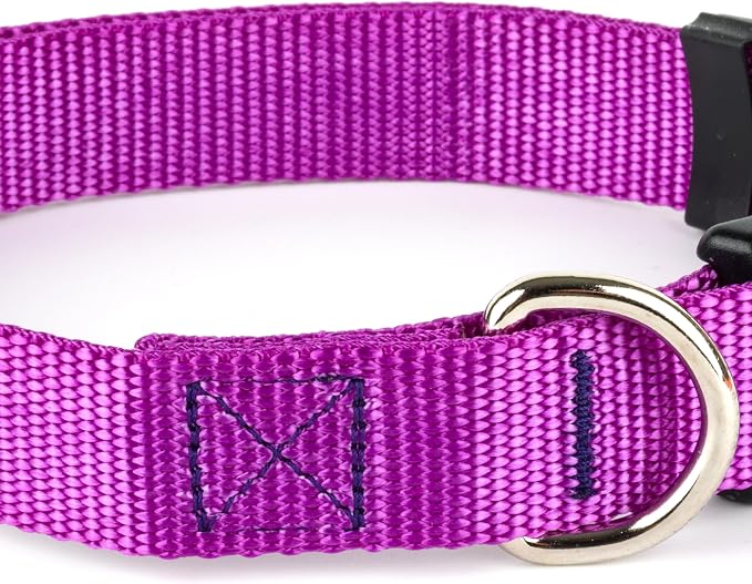 Country Brook Petz - Everyday Nylon Dog Collar and Leash - 10+ Cool Colors (1 Inch, Extra Large, Bright Purple)