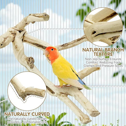 kathson Bird Perch Stand 10"-12" Nature Wood Stand Toy Parrot Cage Branch Paw Grinding Fork Parakeet Platform for Parakeets Cockatiels Conures Finches Love Birds（Small）
