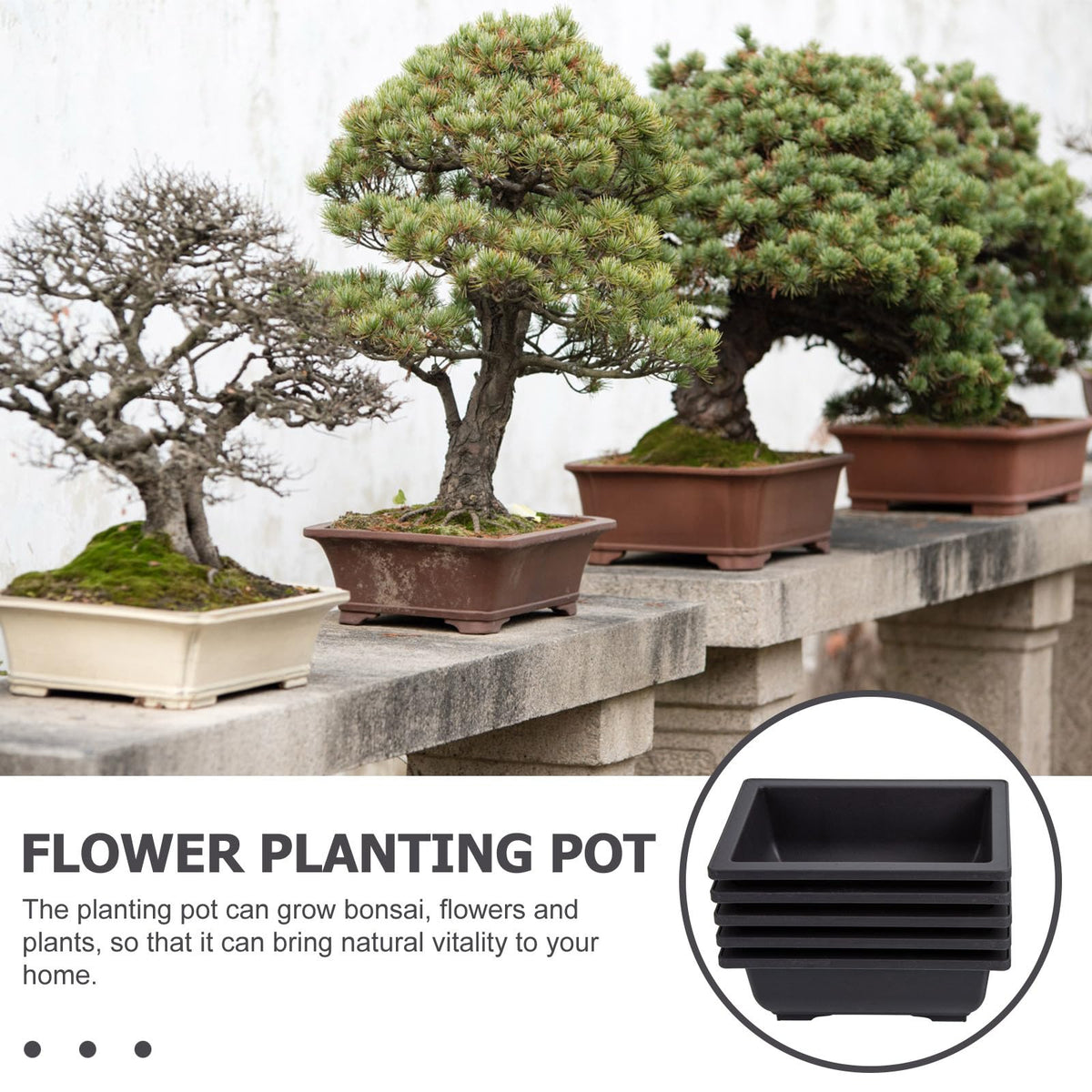 GANAZONO 5Pcs Plastic Bonsai Planters with Drainage Trays 6.49X4.72X2.36In Small Rectangular Flower Pots for Indoor Succulent Plant Growing and Gardening