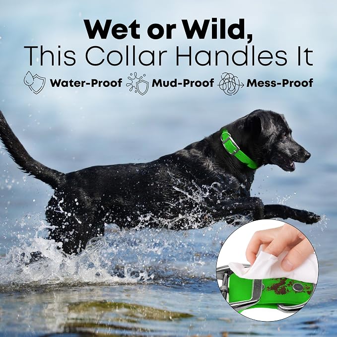 Regal Dog Products Small Light Green Dog Collar with Heavy Duty Double Buckle & D Ring | Vinyl Coated, Custom Fit, Adjustable Biothane Dog Collar Chew Resistant Waterproof Collar for Dogs