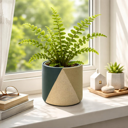 D'vine Dev 6.5" Stoneware Cachepot Planter with 6" Clear Nursery Pot & Detachable Saucer – Modern Indoor Plant Pot with Drainage for Bottom Watering & Root Visibility, Desert Forest, 93-O-C-1