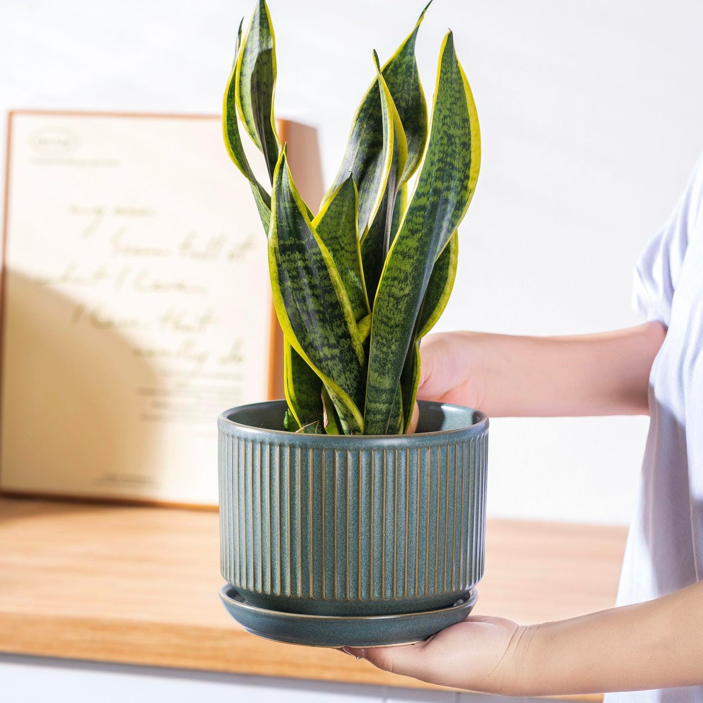 SURE YUESI Green Ceramic Plant Pots Set of 3 (4.3”+5.5”+6.7”), Indoor Striped Planters with Drainage Hole, Mesh Pads, Decorative Pots for Plants & Gardening