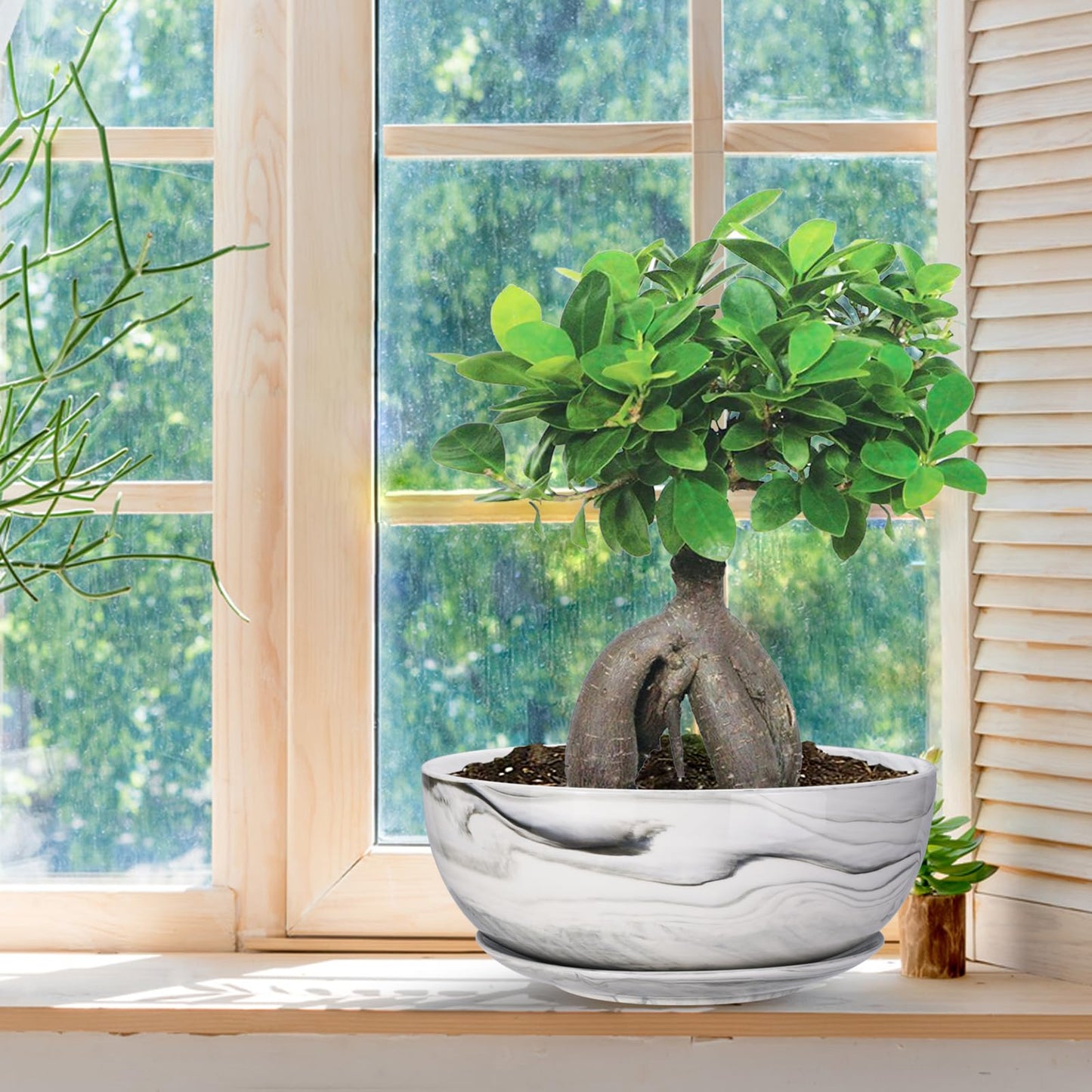 G EPGardening 10Inch Large Planter Marble Pattern Ceramic Succulent Planter Big Plant Pot Succulents Container Flower Pot Indoor Outdoor Decor (Plants Not Included)