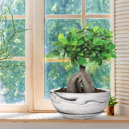 G EPGardening 10Inch Large Planter Marble Pattern Ceramic Succulent Planter Big Plant Pot Succulents Container Flower Pot Indoor Outdoor Decor (Plants Not Included)