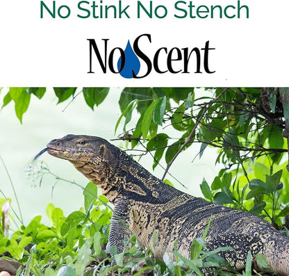 No Scent Reptile - Professional Pet Waste Odor Eliminator and Cleaner - Safe All Natural Probiotic & Enzyme Formula Smell Remover for Tanks Terrariums Enclosures and Substrates (2 oz x 2)