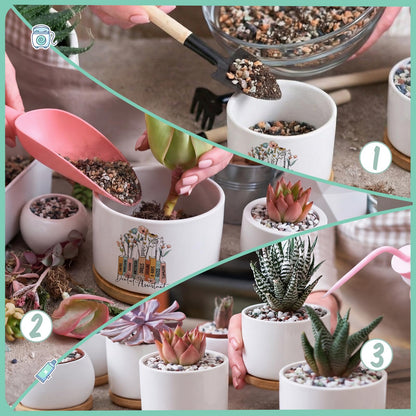 Havawish 6 Pcs Dental Assistant Gift Ceramic Succulent Planter Pots Mini Porcelain Plant Containers Funny Gifts for Dentist Dental Office Home Desk Tooth Decoration, Plants Excluded