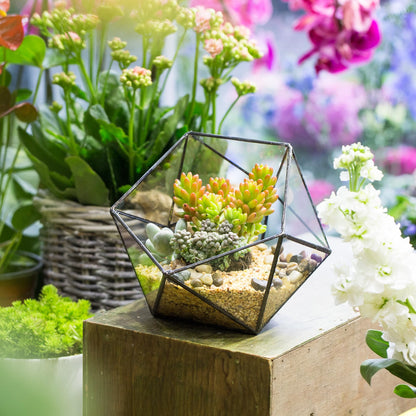 NCYP Opened Geometric Glass Terrarium, 6.69" Bowl Shape Planter for Succulent Plant Cacti, Indoor Balcony Irregular Decor, Garden Miniature Pot, Tabletop Centerpiece (No Plants)