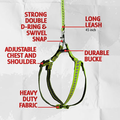 Filbert Cat Harness and Leash Set with Reflective Strip, Thin Cat Harness Escape Proof with Leash, Step-in, Adjustable, Indoor Outdoor, Easy-to-Put-On