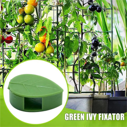 Plant Climbing Wall Fixture Clips 80Pcs Rattan Vine Fixer Self-Adhesive Hook Invisible Wall Sticky Clip for Indoor Outdoor Gardening