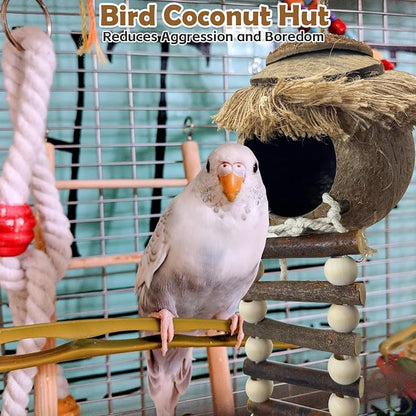 PINVNBY Hanging Coconut Bird Nest Hut with Ladder, Natural Coconut Hide Lovebird House Fruit Wood Bird Swing for Parakeet Cockatiel Budgie Conure Canary Finch Budgies