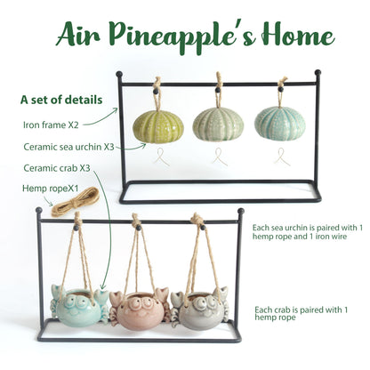 Gniliny 8 Pack Ceramic Air Plant Cradle with Rack: Indoor/Outdoor Hanging Planters - Air Plant Display Container for Home Office Garden