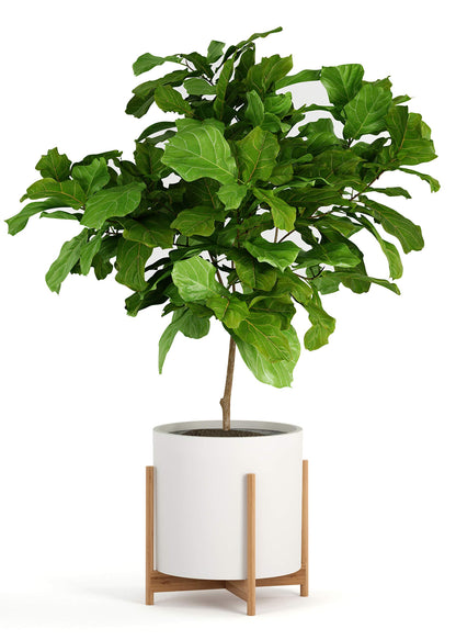 Fox & Fern Bamboo Plant Stand — 14.9 Inch Fixed Size Wooden Mid Century Planter Stand for Indoor Plants (Not Included) - Extra Large Flower Pot Holder for Indoor Big Pots - Plug In Design - Bamboo