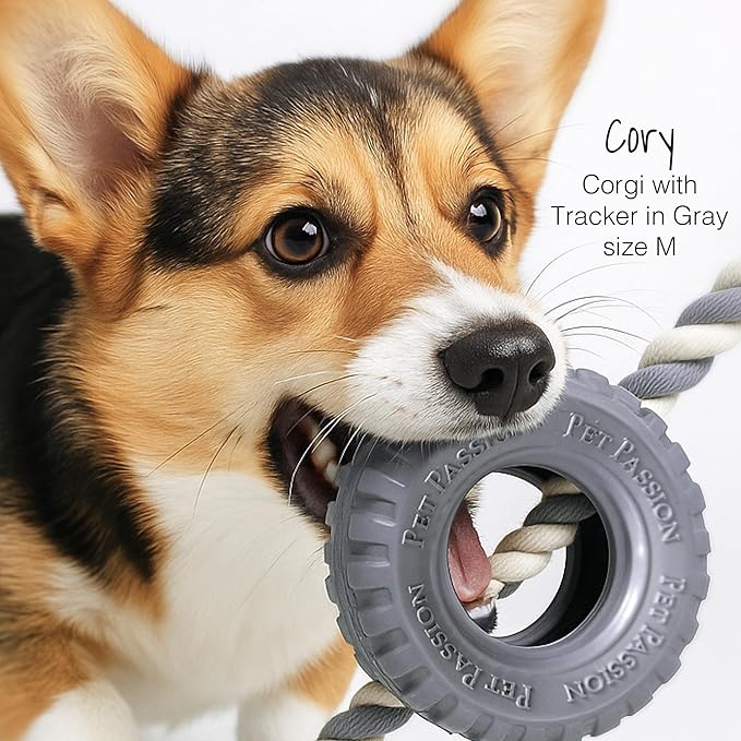Pet Passion Natural Rubber Tire and Organic Cotton Rope Pull and Chew Dog Toy for All Pet Breeds, Blush, Medium