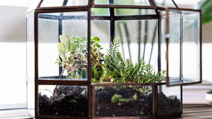 Urban Born Large Terrarium Birdcage, Glass and Metal Indoor Display Case, Unique Gift Idea, Succulent Container, Orchid Planter, Home Decor. (Bronze) 10" x 9"(Diameter)