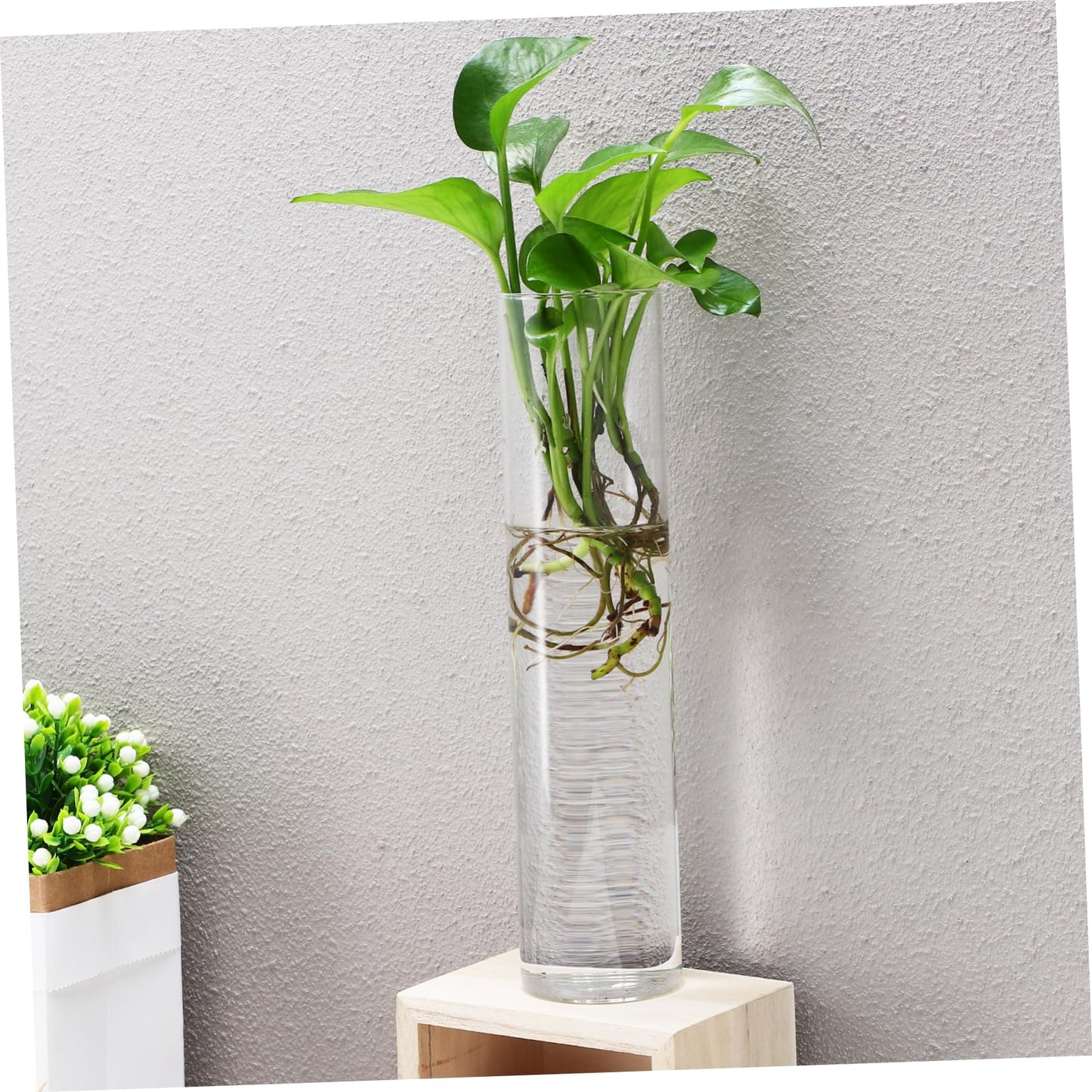 ibasenice 2pcs Hanging Propagation Planters Wall Mounted Flower Tube Vase Glass Terrarium Plants Holder Wall Vase for Flowers