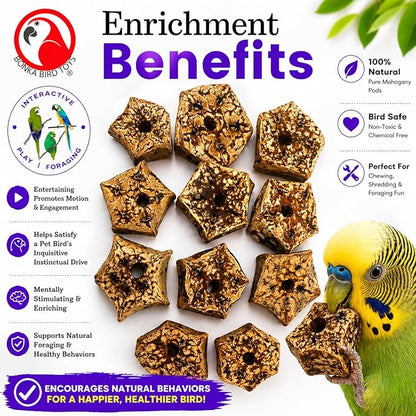 Bonka Bird Toys 3893 Natural Mahogany Sliced Pods Chew Toys, Pack of 12, Durable Bird-Safe Foot Toys, Pre-Drilled for Parrots, Cockatiels, and Small to Medium-Sized Birds, Cage Accessories