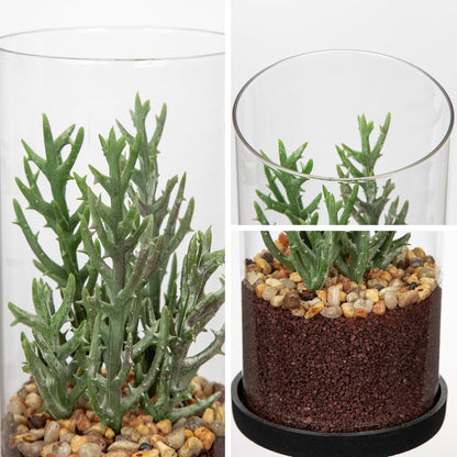 GnFlus Artificial Succulent in Cylindrical Glass Vase Small Fake Senecio Plant with Modern Glass Terrarium Faux Plants Indoor Gift for Plant Lover Decor for Home Office Table Desk Shelf