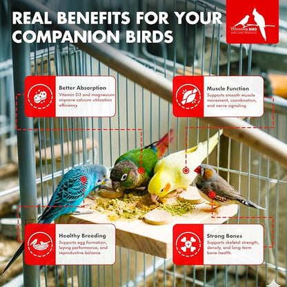 Morning Bird Calcium Plus Powder for Birds 2 oz – Calcium Supplement with Vitamin & Protein Powder – Supports Bone Health, Muscle Function & Digestive Balance – Easy-to-Mix Calcium Formula