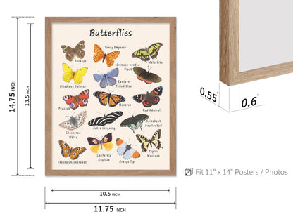 Poster Master Butterfly Print - Animal Poster - Learning Materials Art - Educational Wall Design - Gift for Students & Teacher - Decor for Classroom, Library or Nursery - 11x14 Beige Framed