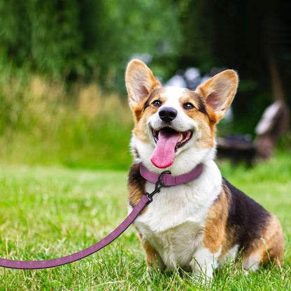 Didog Soft Padded Leather Dog Collar and Leash Set, Heavy Duty Dog Leash and Collar Set with Metal Buckle, Breathable Dog Collars with 4FT Leather Dog Leash for Small Medium Large Dogs, Purple, L