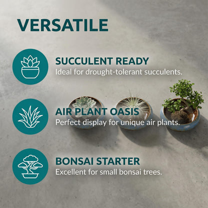Homoyoyo Ceramic Lotus Bowl Planter Porcelain Cactus Planters for Lotus Seeds Succulents Bonsai Water Lily Arrangement Bonsai Succulents Cactus Without Hole Blue