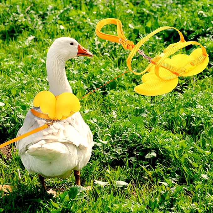 KAMA BRIDAL Duck Walking Harness and Leash Chicken Duck Outdoor Training Rope Adjustable Rope for Pet Poultry Hen Cock (XS, Yellow)