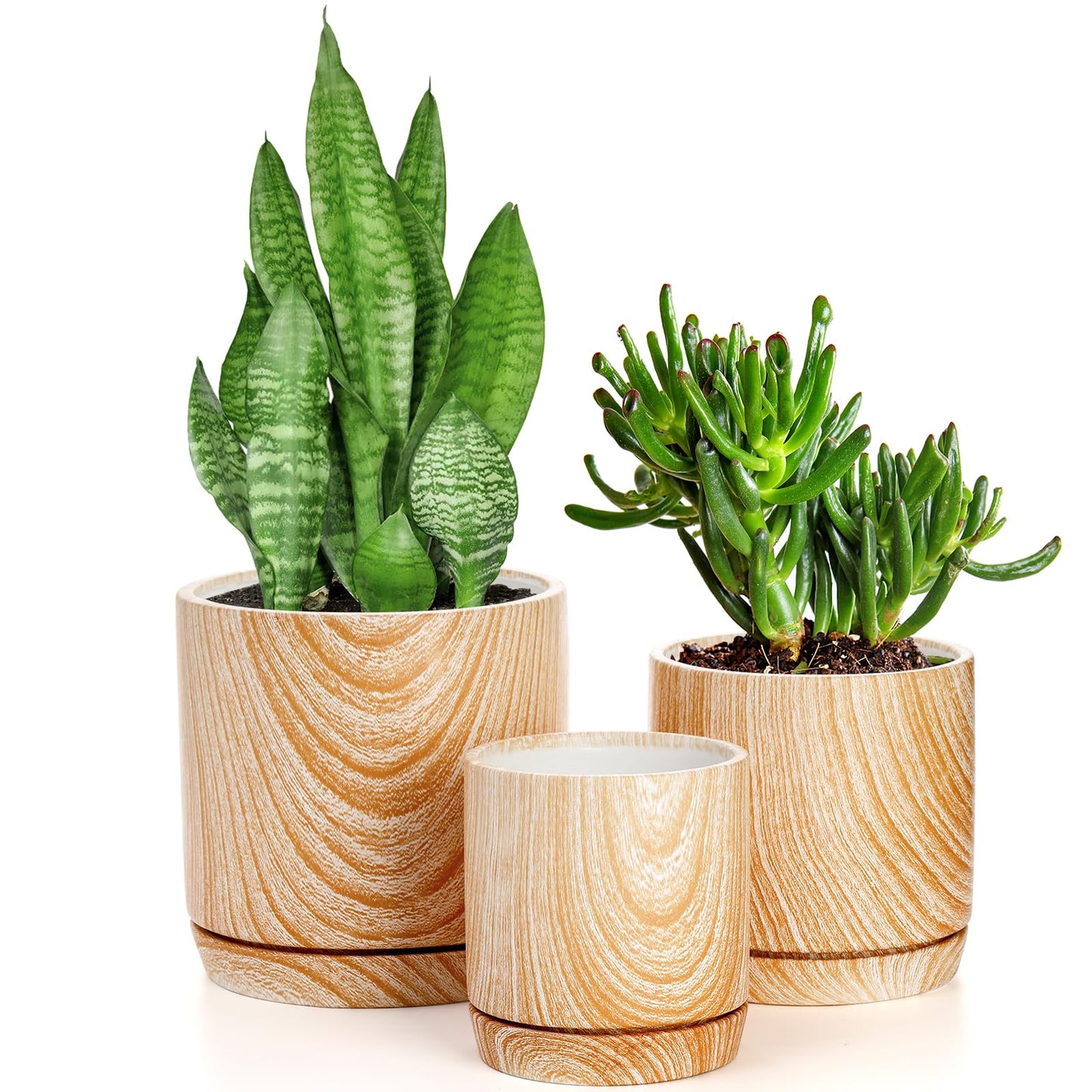 Dicunoy Set of 3 Ceramic Planters - 6"/5"/4" Cylinder Flower Pots with Drainage Holes and Saucers for Indoor, Outdoor, Garden, Cactus, Herbs, Snake Plants, Aloe Vera, All House Plants