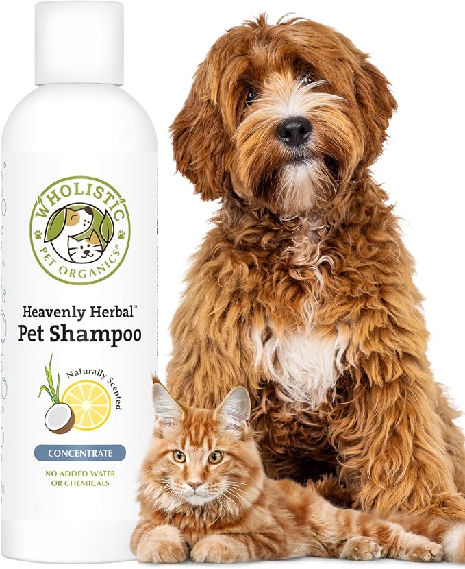 Wholistic Pet Organics Pet Shampoo Concentrate: USDA Organic Cat and Dog Shampoo for Sensitive Skin and Coat Support - Mild and Non-Irritating, Natural, Non-Toxic, Sulfate-Free, & Cruelty-Free - 2 Oz