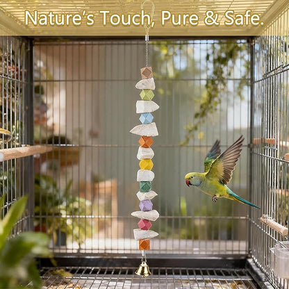 2 Pack Cuttlebone Bird Toys, Beak Grinding Stone Cage Accessories for Parakeets, Budgies, Cockatiels, Lovebirds, Green Cheek Conures, Small to Medium Birds