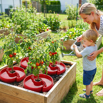 5 Sets Tomato Watering Trays, Surrounding Red Tomato Automator Tray, Root Irrigation Trays for Vegetables, Reduce Runoff, Weed Control, Boost Growth for Tomatoes, Peppers & Garden Veggies