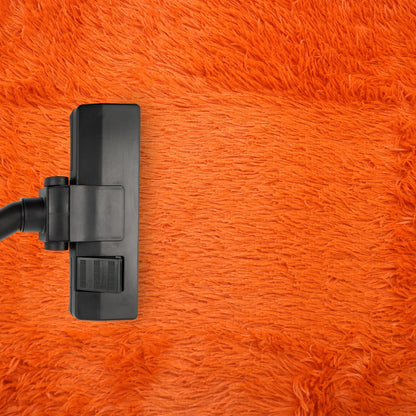 Lifup Soft Fluffy Rectangle Area Rug, Cozy Plush Shaggy Carpet for Living Room Bedroom Home Décor Orange 2.6 x 5.2 Feet