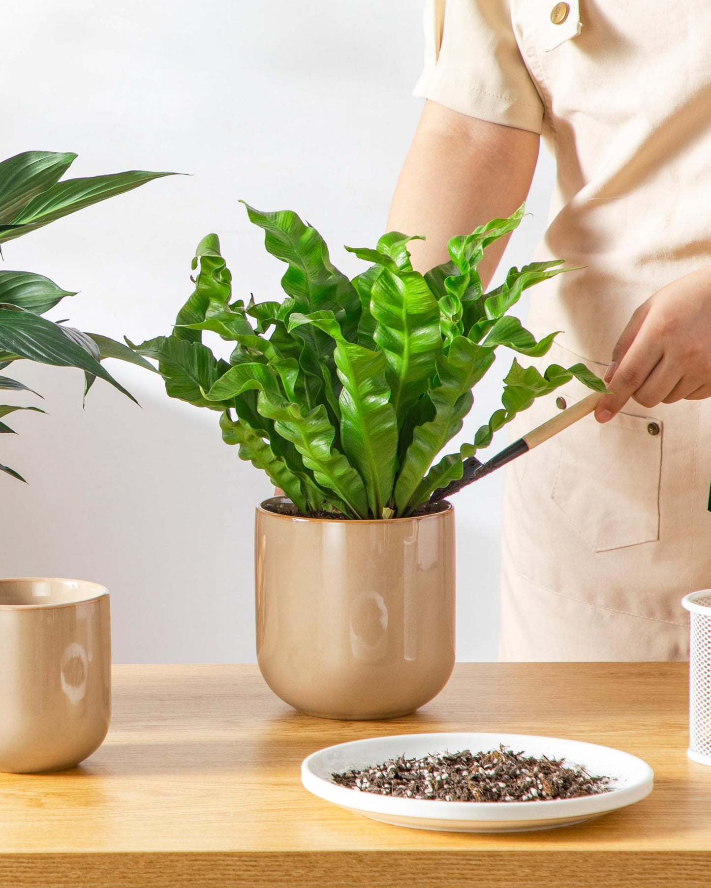 vancasso Ceramic Plant Pots, 4+5+6 inches, Set of 3, Planters with Drainage Hole, Flower Pots Planters Pots for Indoor Plants, Modern Indoor Decorative Garden Pot, Home Decor, Brown